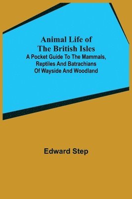 Edward Step - Animal Life of the British Isles; A Pocket Guide to the Mammals, Reptiles and Batrachians of Wayside and Woodland, Häftad