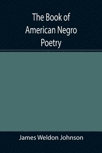 bokomslag The Book of American Negro Poetry