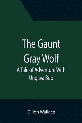 bokomslag Gaunt Gray Wolf