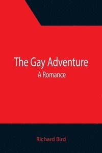 bokomslag Gay Adventure