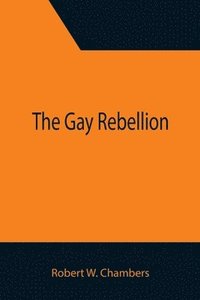 bokomslag Gay Rebellion