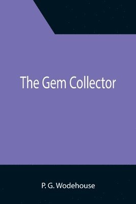 bokomslag The Gem Collector