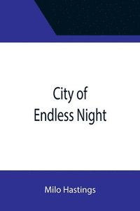 bokomslag City of Endless Night