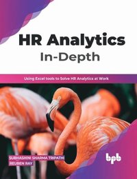 bokomslag HR Analytics In-Depth