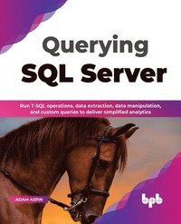 bokomslag Querying SQL Server