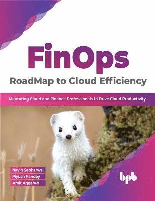 bokomslag FinOps : RoadMap to Cloud Efficiency