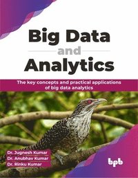 bokomslag Big Data and Analytics