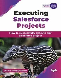 bokomslag Executing Salesforce Projects