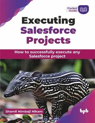 Executing Salesforce Projects 1