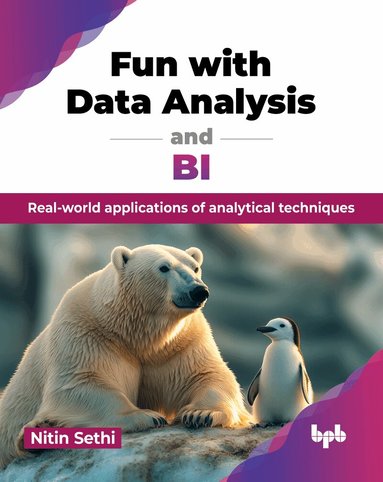 Nitin Sethi - Fun with Data Analysis and BI, Häftad