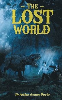 bokomslag Lost World