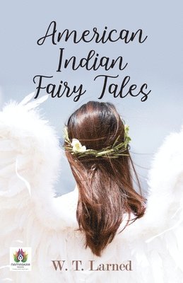 bokomslag American Indian Fairy Tales