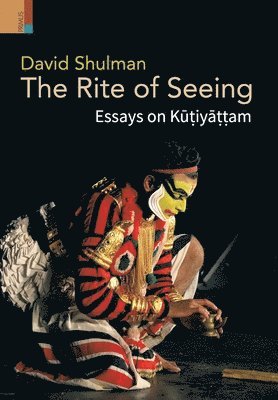 David Shulman - Rite of Seeing, Inbunden