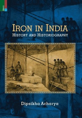 bokomslag Iron in India