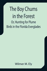 bokomslag Boy Chums in the Forest; Or, Hunting for Plume Birds in the Florida Everglades