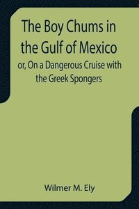 bokomslag The Boy Chums in the Gulf of Mexico or, On a Dangerous Cruise with the Greek Spongers