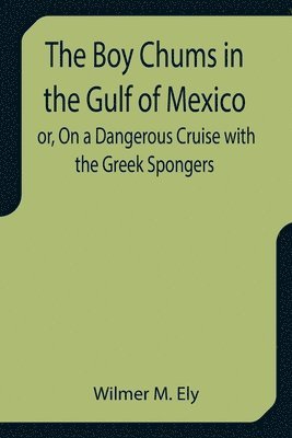 bokomslag Boy Chums in the Gulf of Mexico or, On a Dangerous Cruise with the Greek Spongers