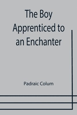 bokomslag Boy Apprenticed to an Enchanter