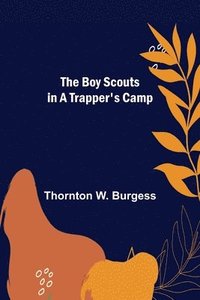 bokomslag Boy Scouts in A Trapper's Camp