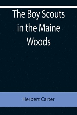 bokomslag The Boy Scouts in the Maine Woods; Or, The New Test for the Silver Fox Patrol