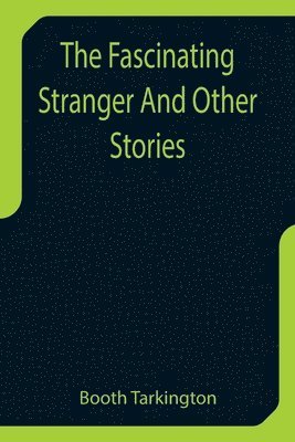 bokomslag Fascinating Stranger And Other Stories
