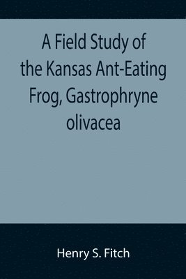 Field Study of the Kansas Ant-Eating Frog, Gastrophryne olivacea