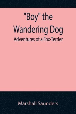 bokomslag Boy the Wandering Dog