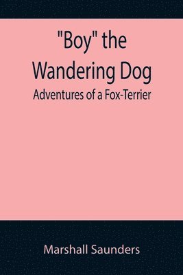 Boy the Wandering Dog 1