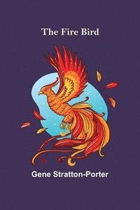bokomslag Fire Bird