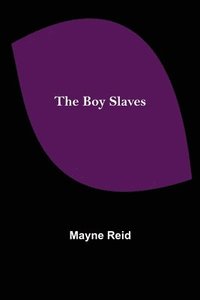 bokomslag Boy Slaves