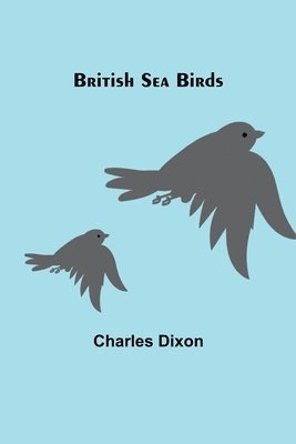 bokomslag British Sea Birds