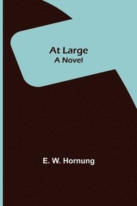 bokomslag At Large; A Novel