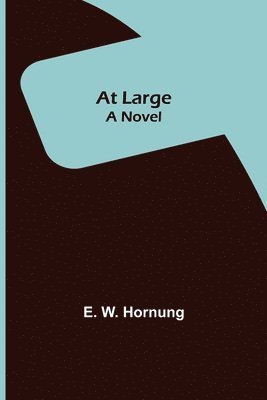 bokomslag At Large; A Novel