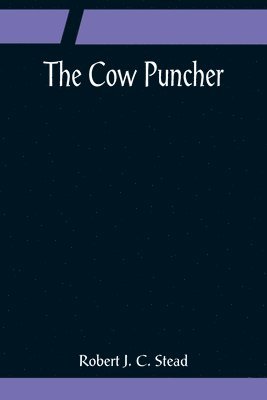 bokomslag Cow Puncher