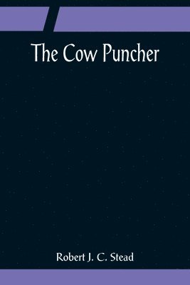 bokomslag The Cow Puncher