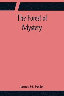 bokomslag The Forest of Mystery