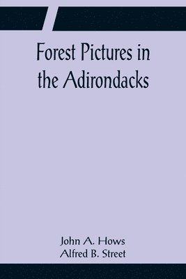 Forest Pictures in the Adirondacks 1