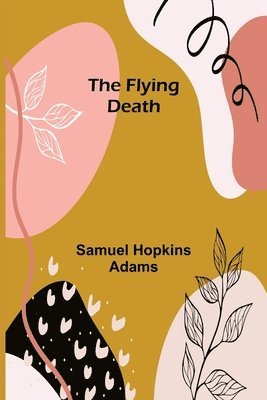 bokomslag Flying Death