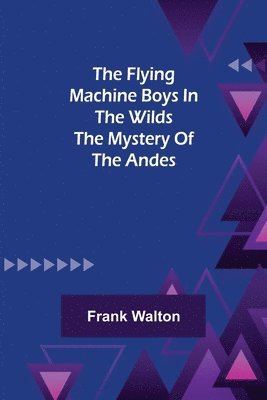 bokomslag Flying Machine Boys in the Wilds The Mystery of the Andes