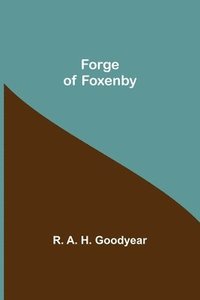 bokomslag Forge of Foxenby