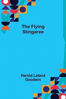 The Flying Stingaree 1