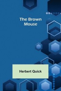bokomslag Brown Mouse