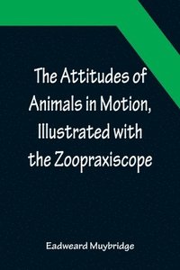 bokomslag The Attitudes of Animals in Motion, Illustrated with the Zoopraxiscope