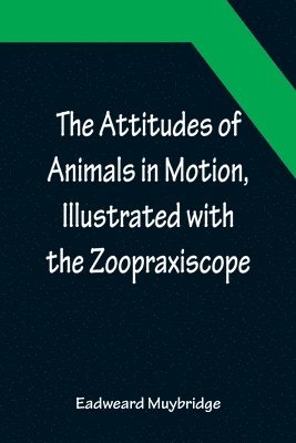 Eadweard Muybridge - Attitudes of Animals in Motion, Illustrated with the Zoopraxiscope, Häftad