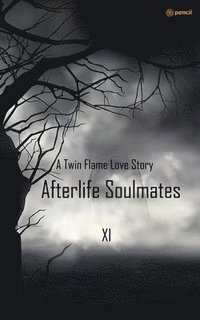 bokomslag Afterlife soulmates