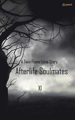 bokomslag Afterlife soulmates