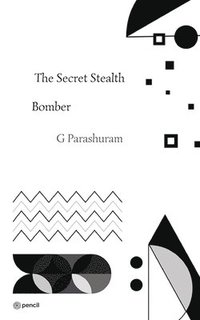 bokomslag The Secret Stealth Bomber