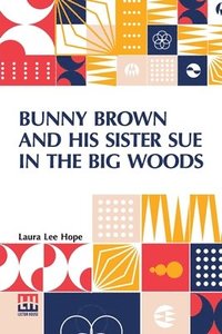 bokomslag Bunny Brown And His Sister Sue In The Big Woods