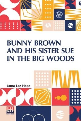 Bunny Brown And His Sister Sue In The Big Woods 1