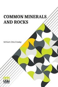 bokomslag Common Minerals And Rocks